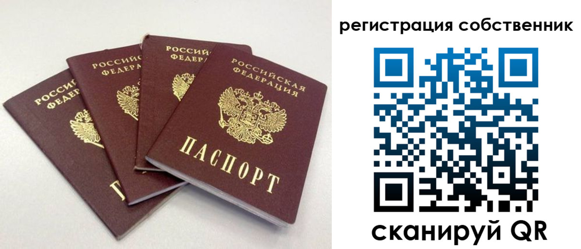 прописка для школы в Аткарске
